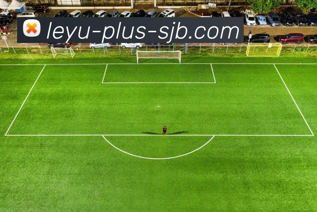 App Interface Preview