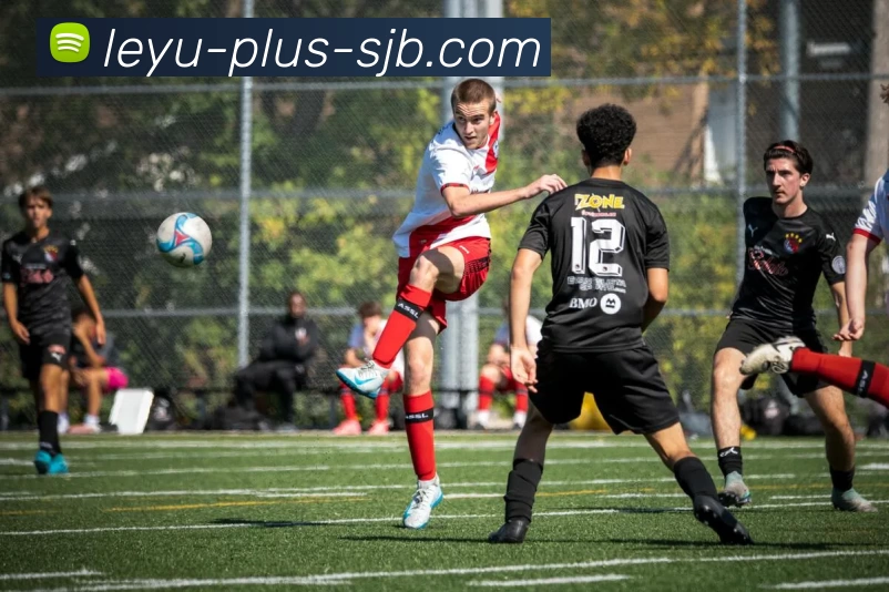 乐鱼体育 Plus，乐鱼体育 Plus，乐鱼体育官网，乐鱼体育APP，乐鱼增值服务APP 封面图